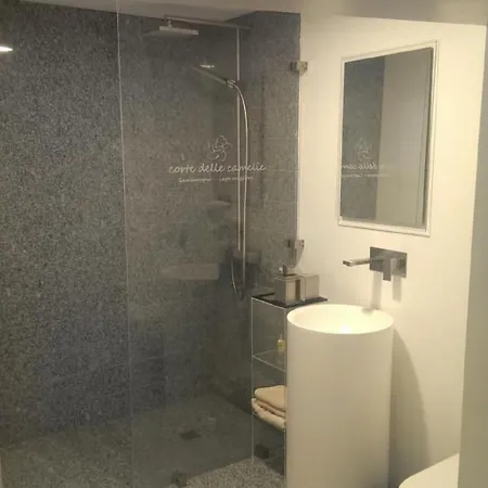 Corte Delle Camelie - Im Ersten Stock By Interhome * Gambarogno