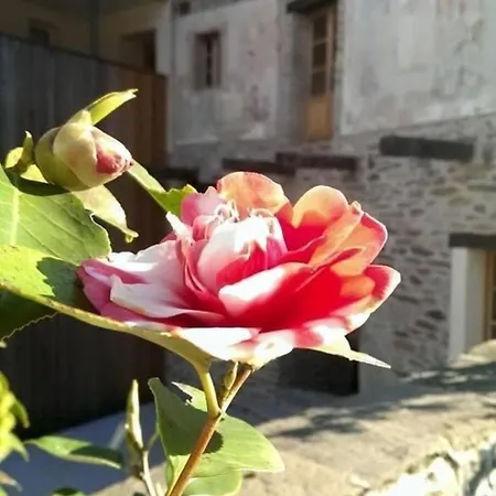 Corte Delle Camelie - Im Ersten Stock By Interhome Apartment