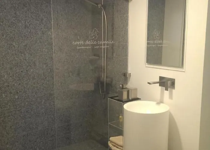 Corte Delle Camelie - Im Ersten Stock By Interhome * Gambarogno