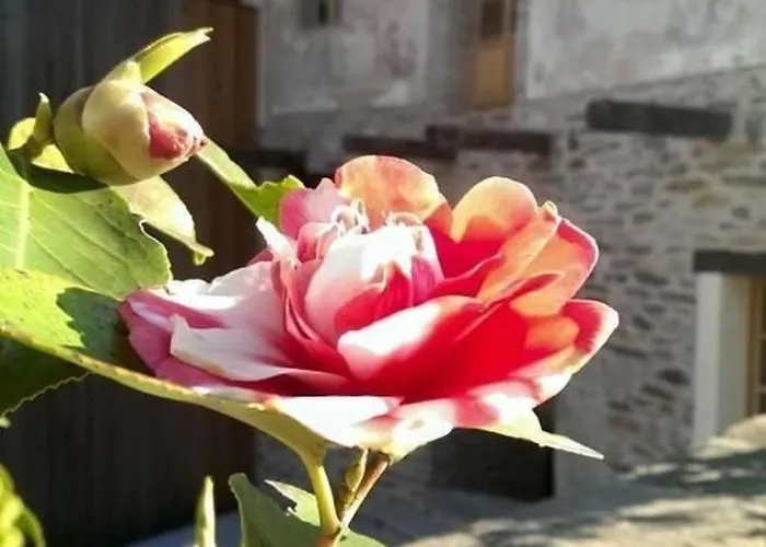 Corte Delle Camelie - Im Ersten Stock By Interhome Apartament