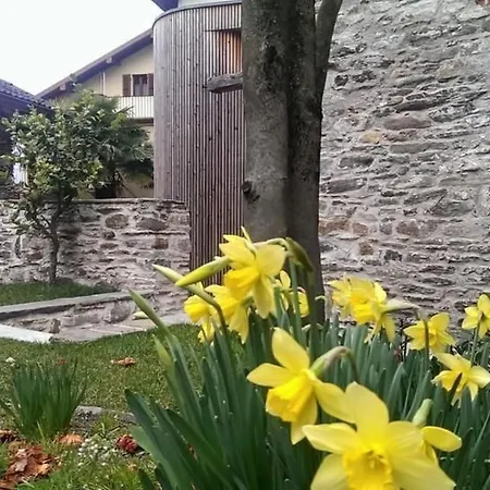 Apartman Corte Delle Camelie - Im Ersten Stock By Interhome *